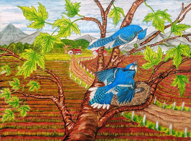 Birds Over Fields - Art