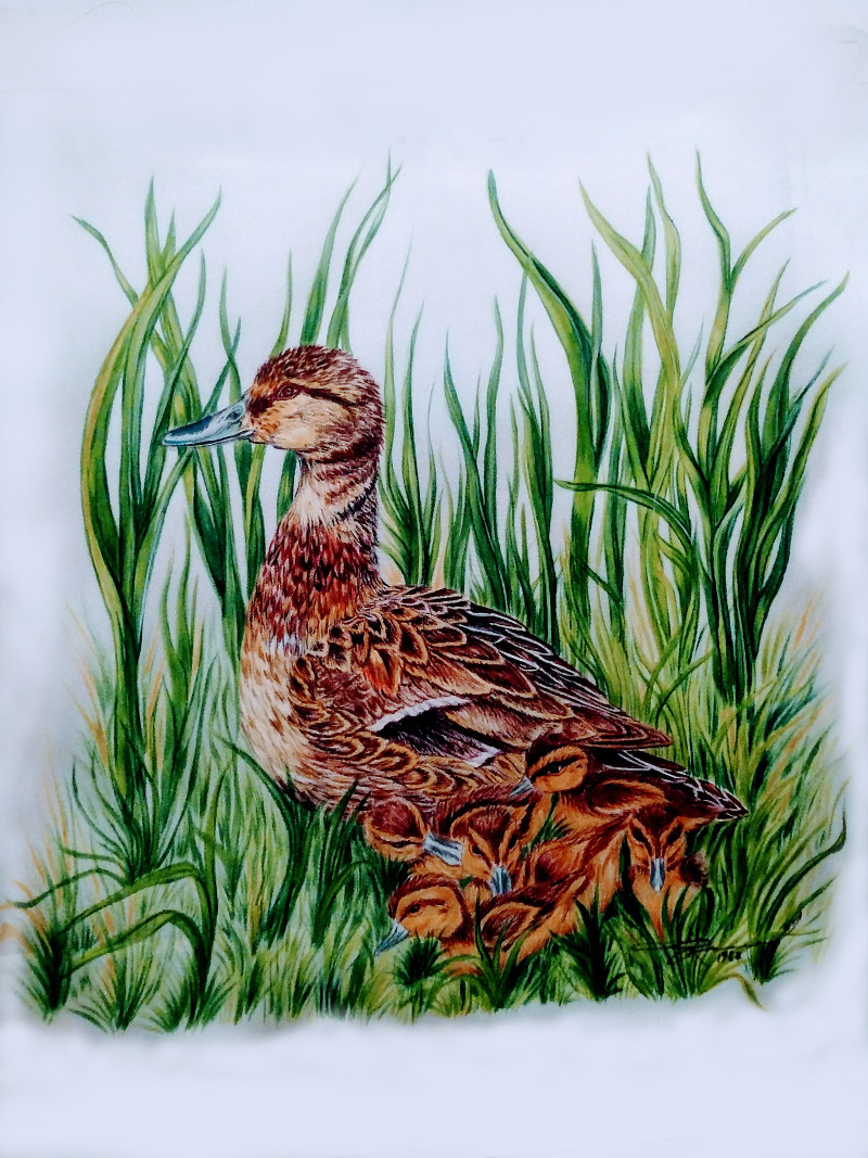 Mama Duck And Kids - Silk Art