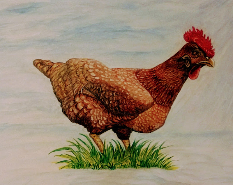 Chicken - Painting