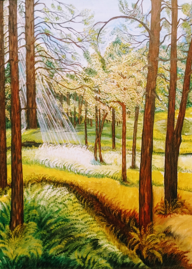 Ray Of Sunshine Through Trees in Flagstaff- Oils Art